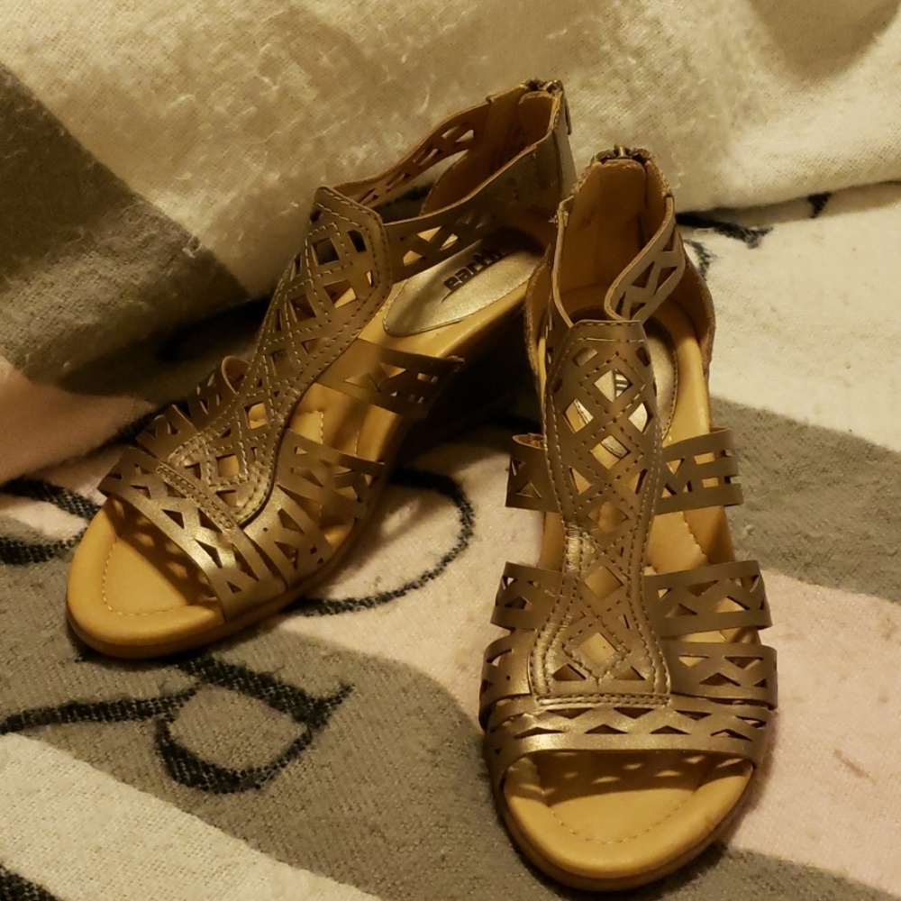 Earth Brand shoes